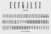 Coppola, a Serif Font by Chad Palmer Designs (Thumbnail 7 of 9)