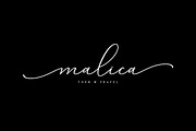 Salenta, a Script Font by Megatype (Thumbnail 9 of 10)