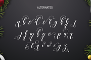Christmas Wonderful | Script font, a Script Font by Scratchones (Thumbnail 7 of 8)