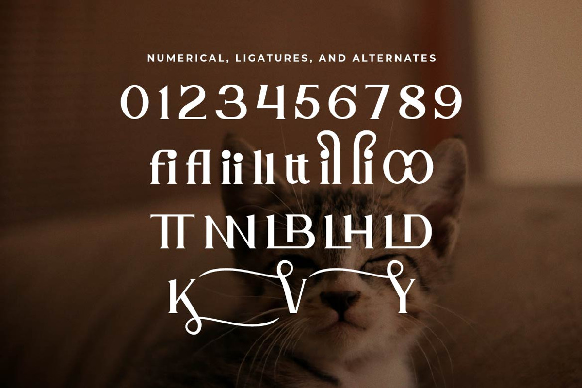Elhave Luxury Serif Font, a Serif Font by Artiveko (Photo 4 of 7)