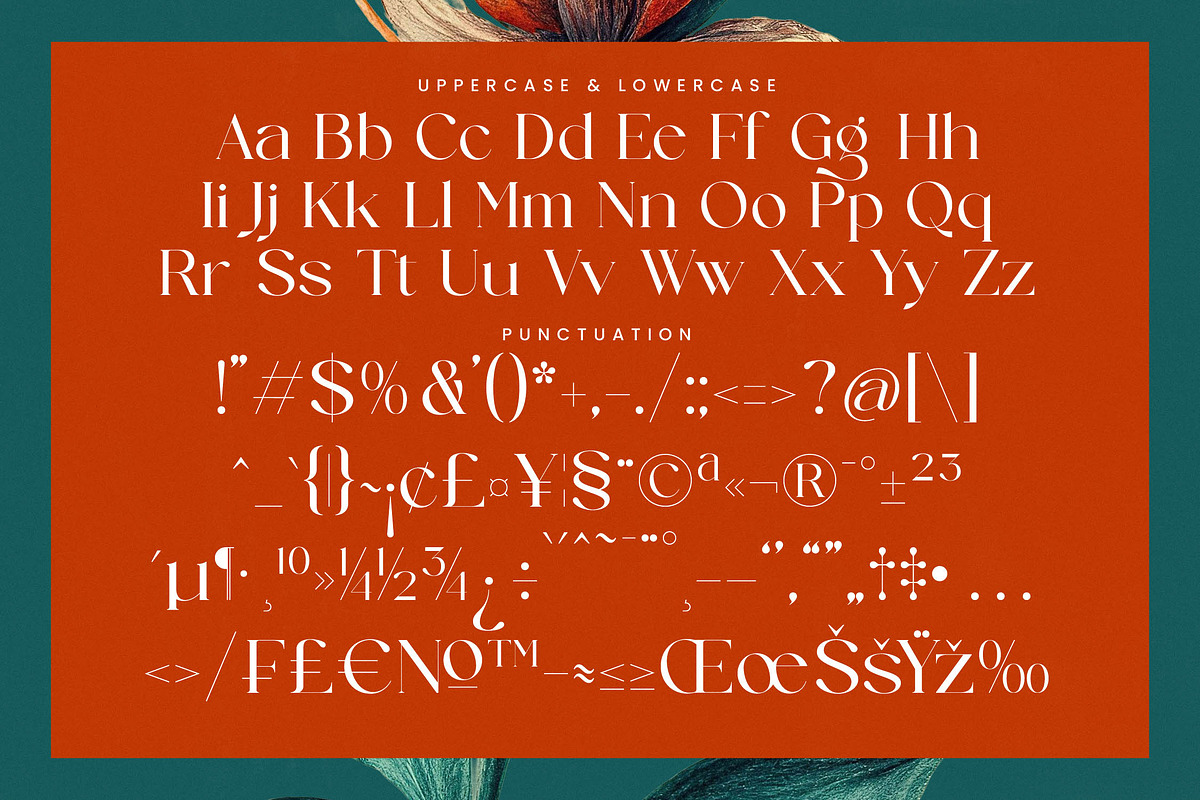 Strikes Against Modern Serif Font, a Serif Font by timelesstype.co (Photo 19 of 20)