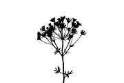 Meadow Flower Silhouette Vector, an Illustration by Designs_River (Thumbnail 8 of 9)