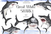 Watercolor Great White Sharks Set, an Animal Illustration by MayaNavits (Thumbnail 1 of 7)