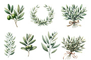 Watercolor Olive Branch Clipart, an Illustration by Designworld (Thumbnail 3 of 4)