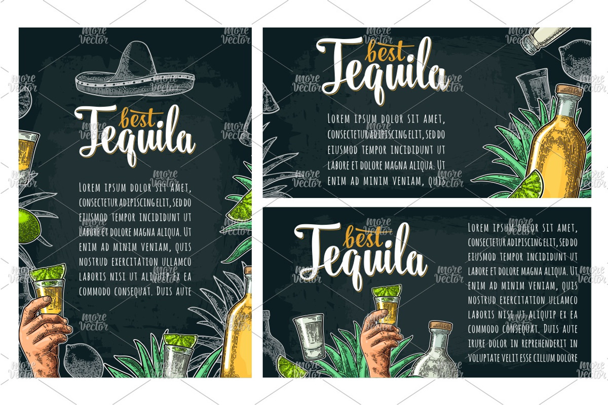 Tequila. Illustrations and posters, an Illustration by MoreVector (Photo 5 of 11)