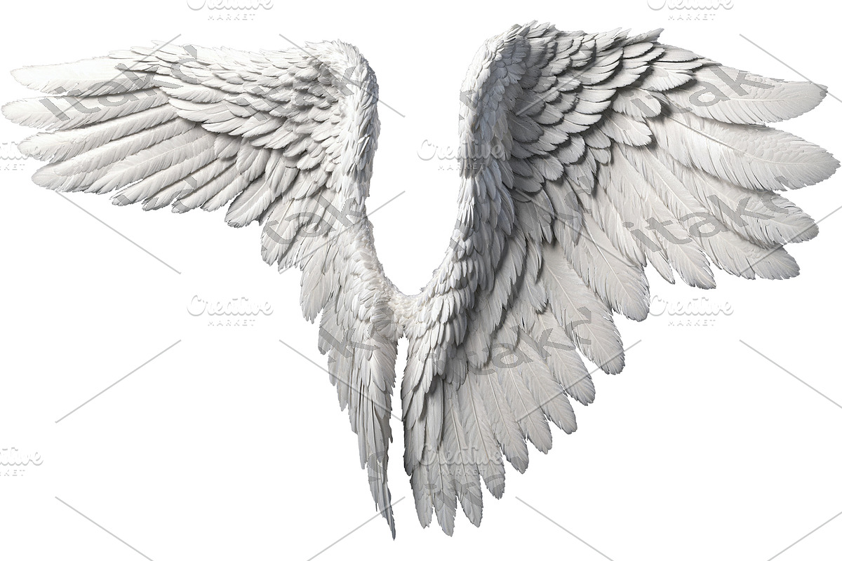 set of photorealistic angel wings, an Object Graphic by itakdalee (Photo 6 of 11)