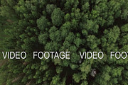 Aerial view of green woods and village houses, Russia, a Graphic by Grey Coast Media (Thumbnail 1 of 2)