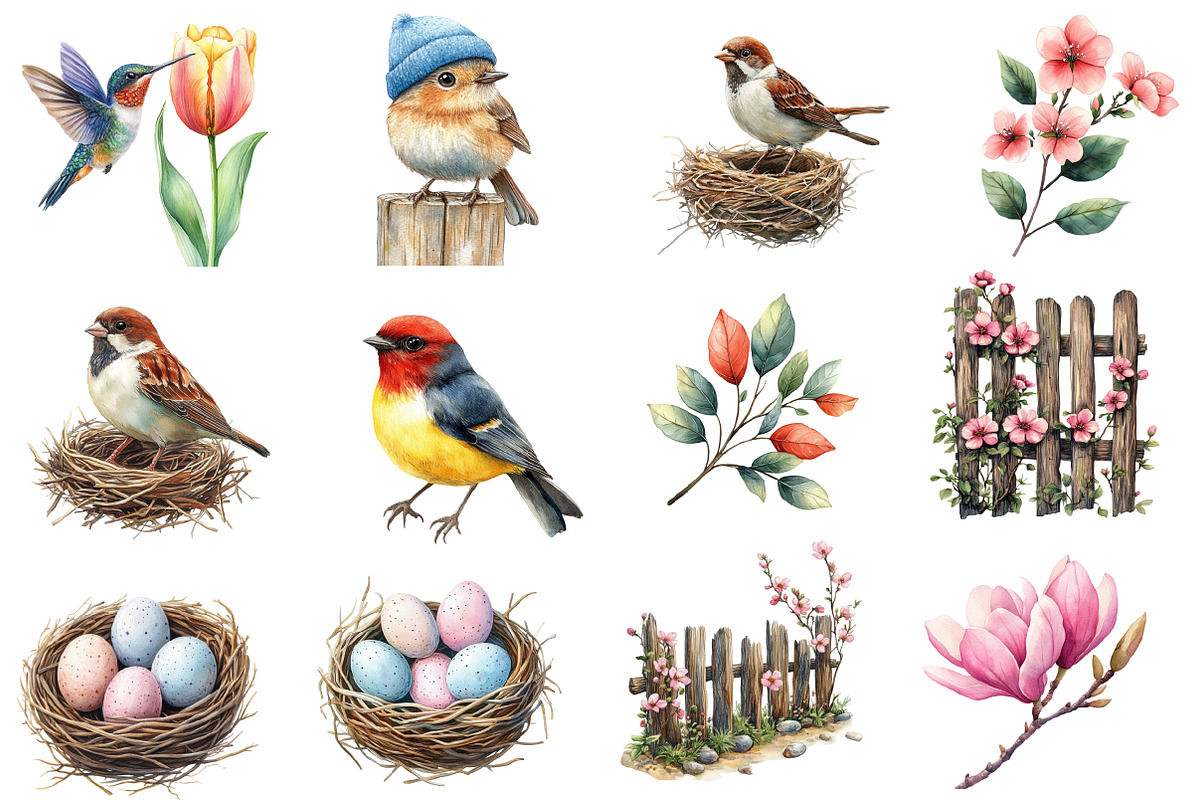 Watercolor Bird Clipart, an Illustration by Designworld (Photo 2 of 5)