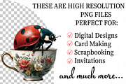 Whimsical Ladybug Spring Set Clipart, an Illustration by Daily.Designs (Thumbnail 2 of 7)