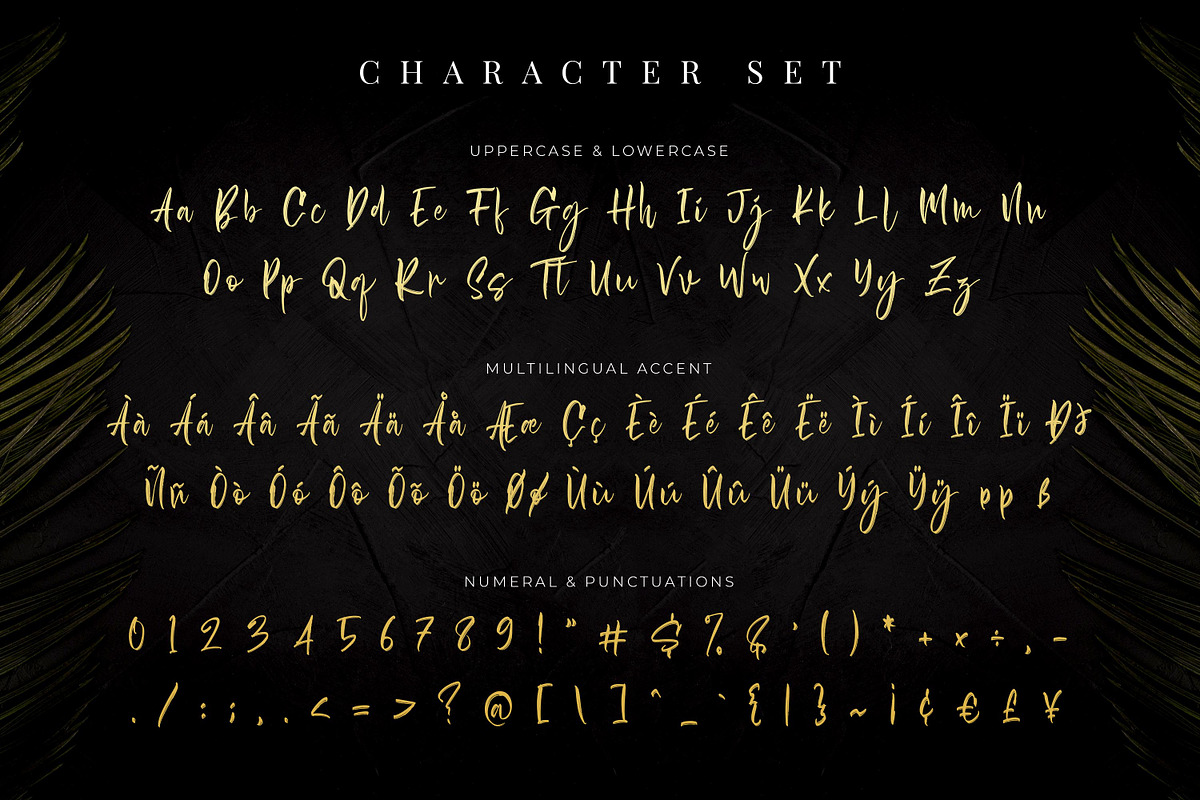 Antiquesta - Brush Signature, a Script Font by Almarkhatype (Photo 9 of 10)