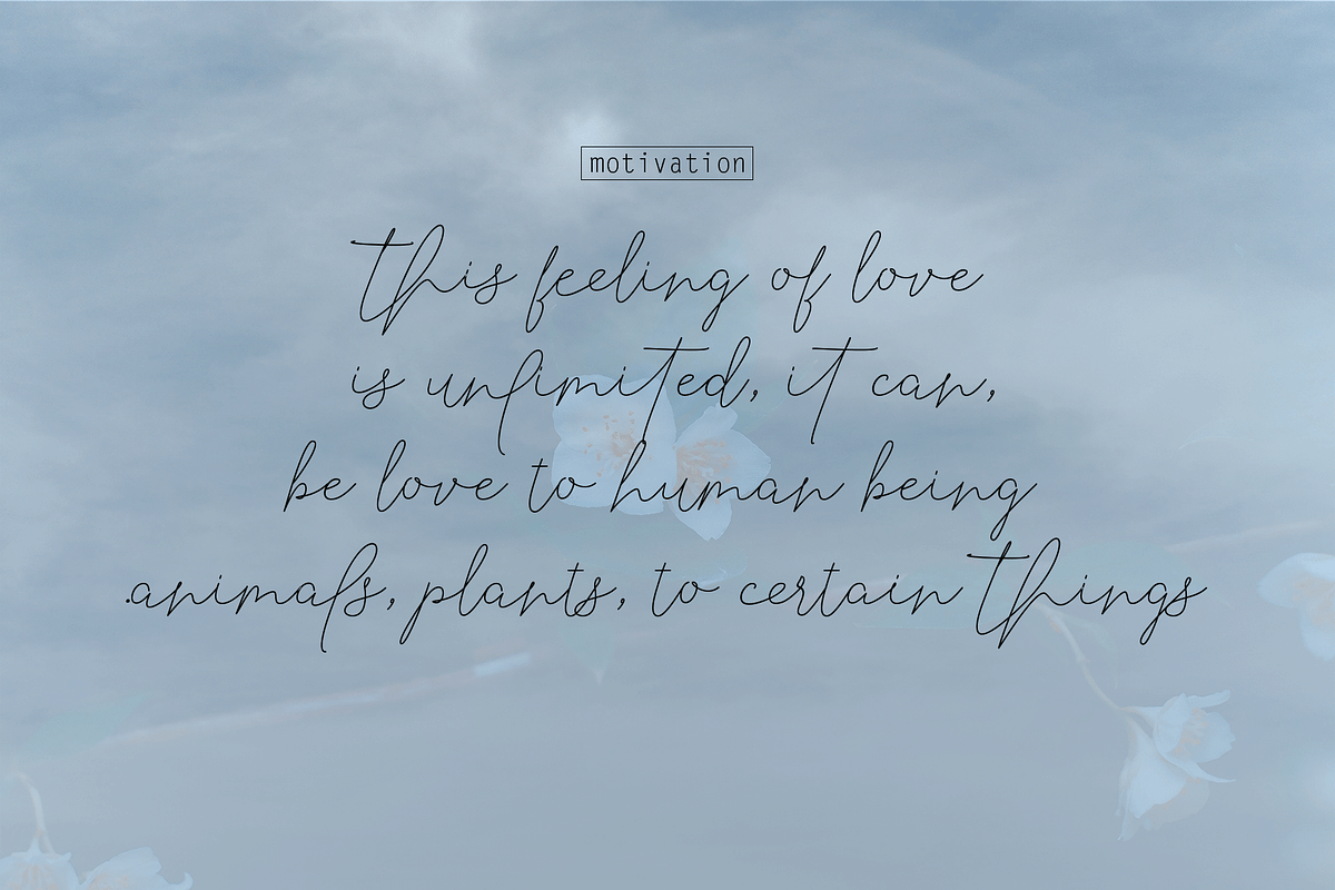 Selvia Font Duo preview 7