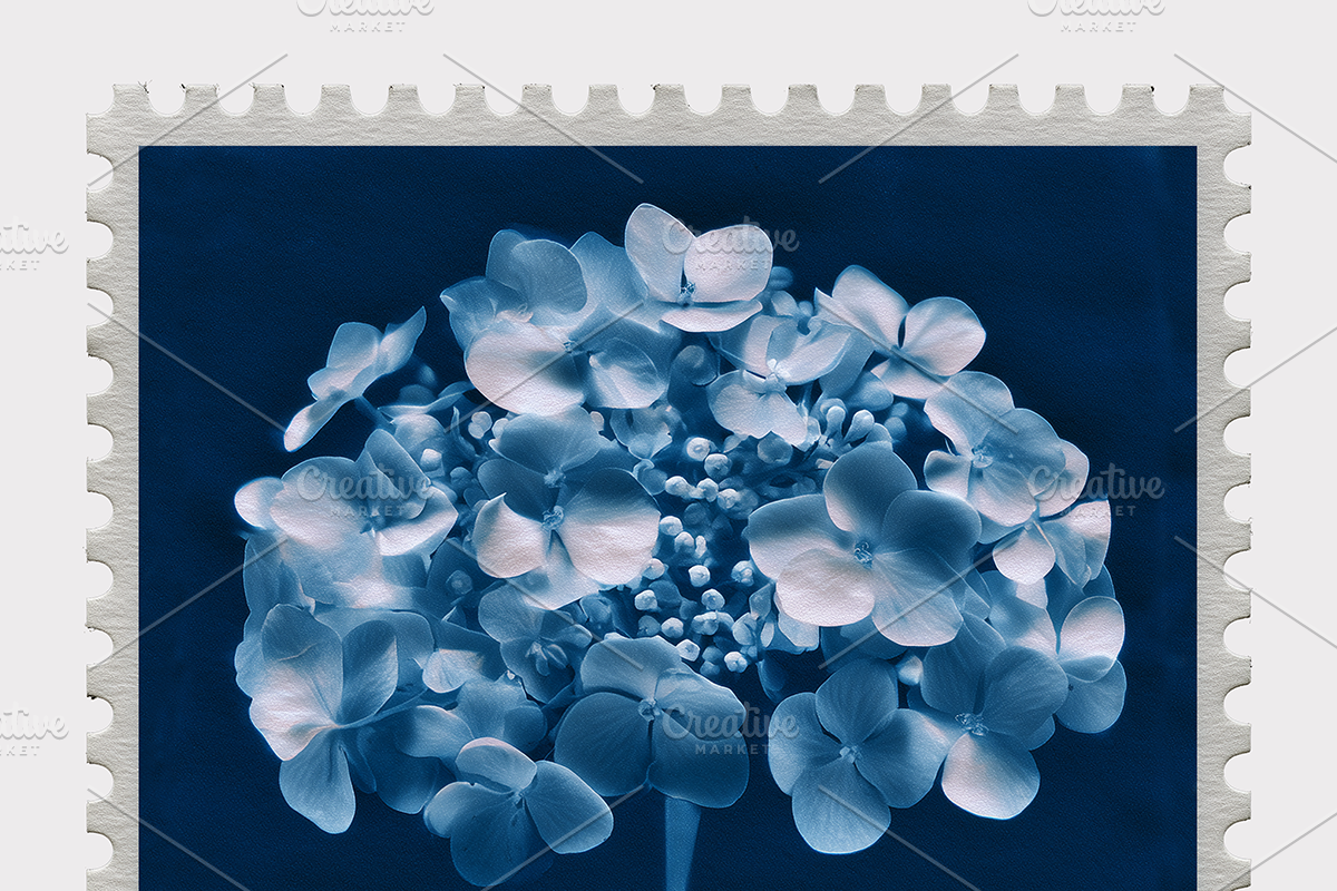Lupa Co · Cyanotype Botanical Stamps, a Texture Illustration by milatovar (Photo 12 of 18)