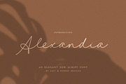 Alexandia Script Font, a Script Font by Salt & Pepper Designs (Thumbnail 1 of 9)
