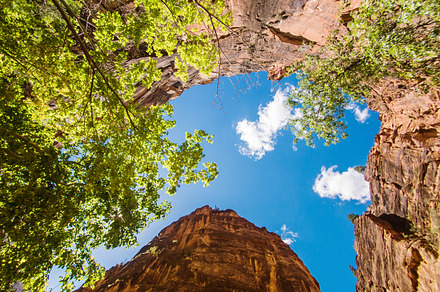 Usa stock photo containing zion and park, a Nature Photo by Pabkov