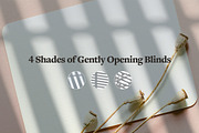 Shadow Backdrops Videos Collection, a Mockup by rebrandy (Thumbnail 9 of 20)