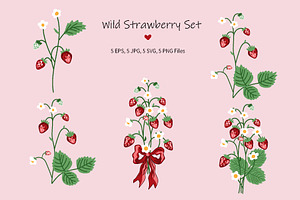 Wild Strawberry Plant Set Drawing