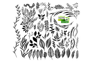Set of graphic black leaves and, an Object Illustration by Nenahliadava Design