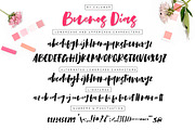 Buenos Dias Font + Extras, a Script Font by Calamar Studio (Thumbnail 2 of 15)