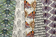 Winter Moths & Evergreen Botanicals, a Seasonal Illustration by Ink Stories (Thumbnail 11 of 15)