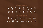 Wafelin Elegant Serif Font, a Serif Font by Graphicxell (Thumbnail 8 of 8)