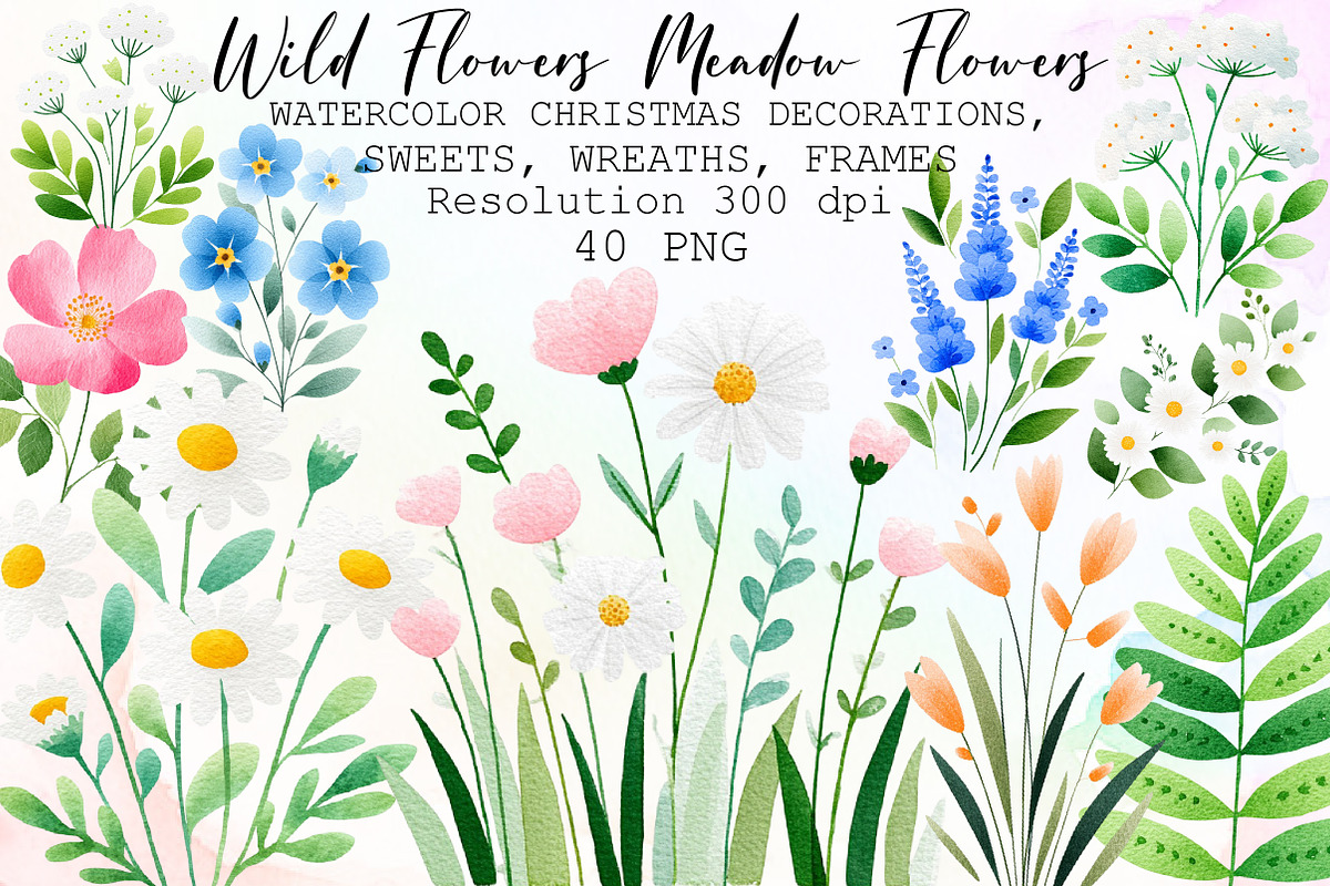 Wild Flowers - Floral Clipart - Mead, an Illustration by Sublimation Artist (Photo 1 of 6)
