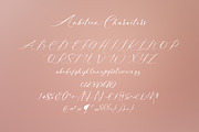 Ambition Bright, a Script Font by Artic Type (Thumbnail 6 of 9)