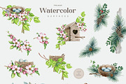 Forest Birds Watercolor Set, an Animal Illustration by AnitaPol (Thumbnail 13 of 26)