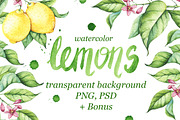 Watercolor Lemons Set, an Illustration by Imaginasty (Thumbnail 1 of 6)