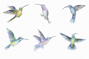 Watercolor Birds Set