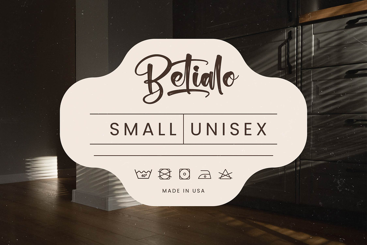 Chinstrap Stucky Bold Brush Font, a Script Font by stylishtype.co (Photo 4 of 20)