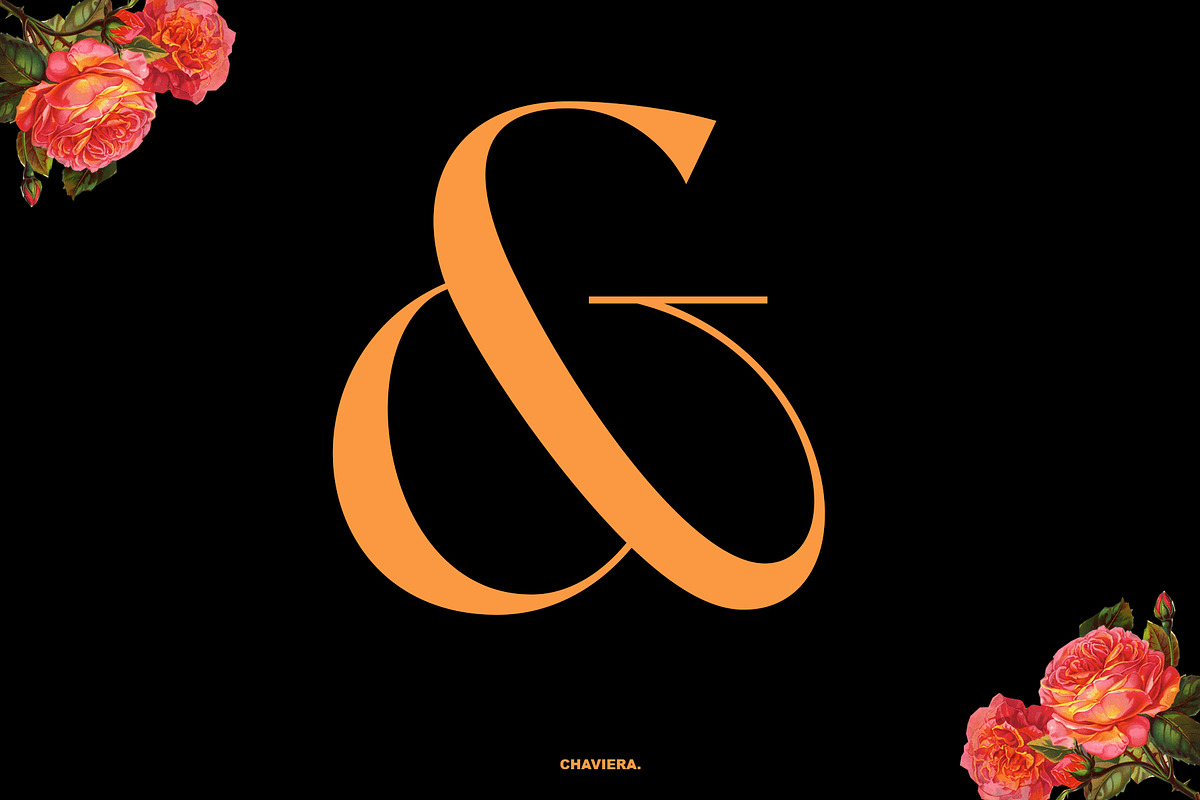 Chaviera, a Serif Font by INKSUN™ (Photo 2 of 13)