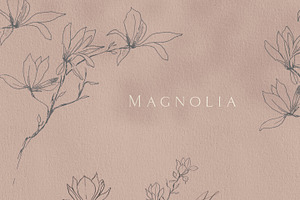 Magnolia Fine Line Clipart