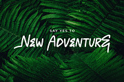 HONEKE Monoline Brush Font, a Handwritten Font by NTC Graphic (Thumbnail 6 of 9)