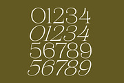 Magiras Swift Modern Serif Font, a Serif Font by timelesstype.co (Thumbnail 7 of 15)