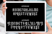 Dashteran, a Script Font by almazstudio (Thumbnail 9 of 10)