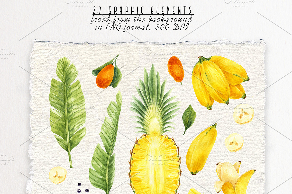 Tropical fruits watercolor clipart, a Food Illustration by a_ptichkina (Photo 2 of 5)