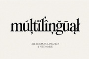 Fitzgerald - Classic Retro Serif, a Serif Font by Harmonais Visual (Thumbnail 30 of 31)