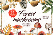 Forest Mushrooms: Edible & Poisonous, a Seasonal Illustration by Elena Malgina Clipart (Thumbnail 1 of 13)