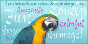 Shandy BF, a Script Font by Bomparte’s Fonts (Thumbnail 4 of 5)