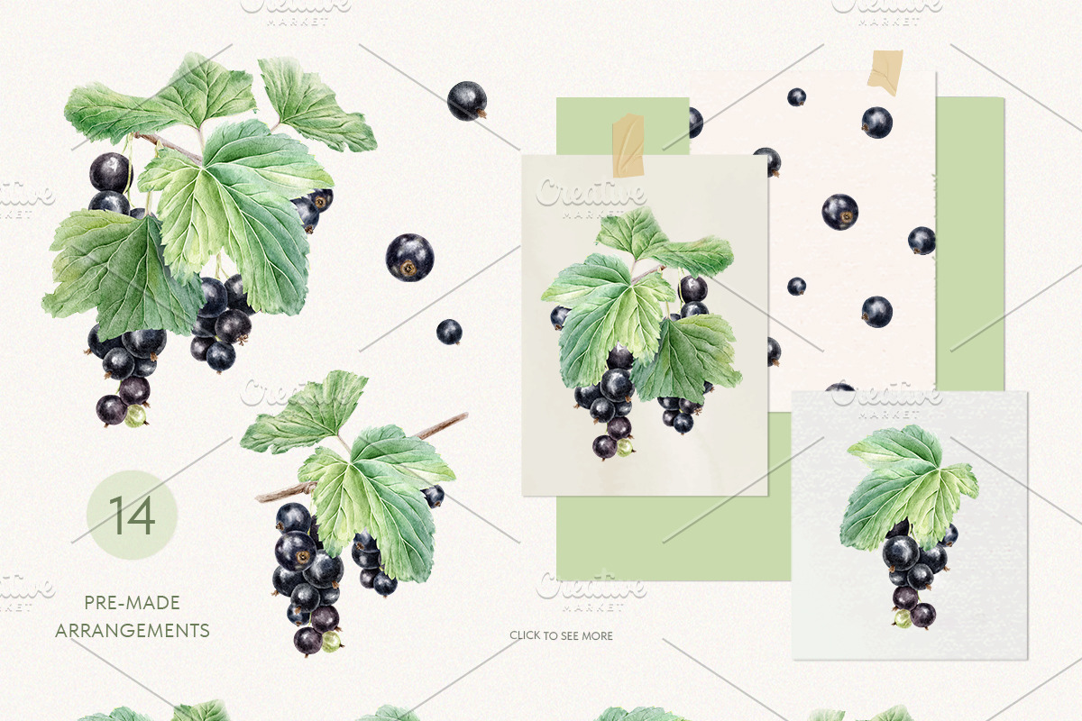 Black currant berry watercolor, a Food Illustration by Fedulova Art (Photo 2 of 10)