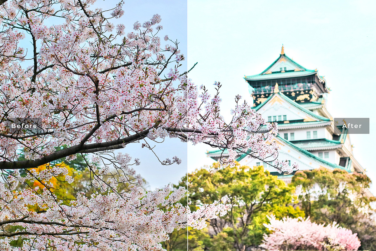Japan Pro Lightroom Presets preview 3