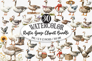 Watercolor Rustic Goose Clipart, an Illustration by Designking