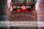 50% off Somersault, a Handwritten Font by Fontforecast (Thumbnail 8 of 12)