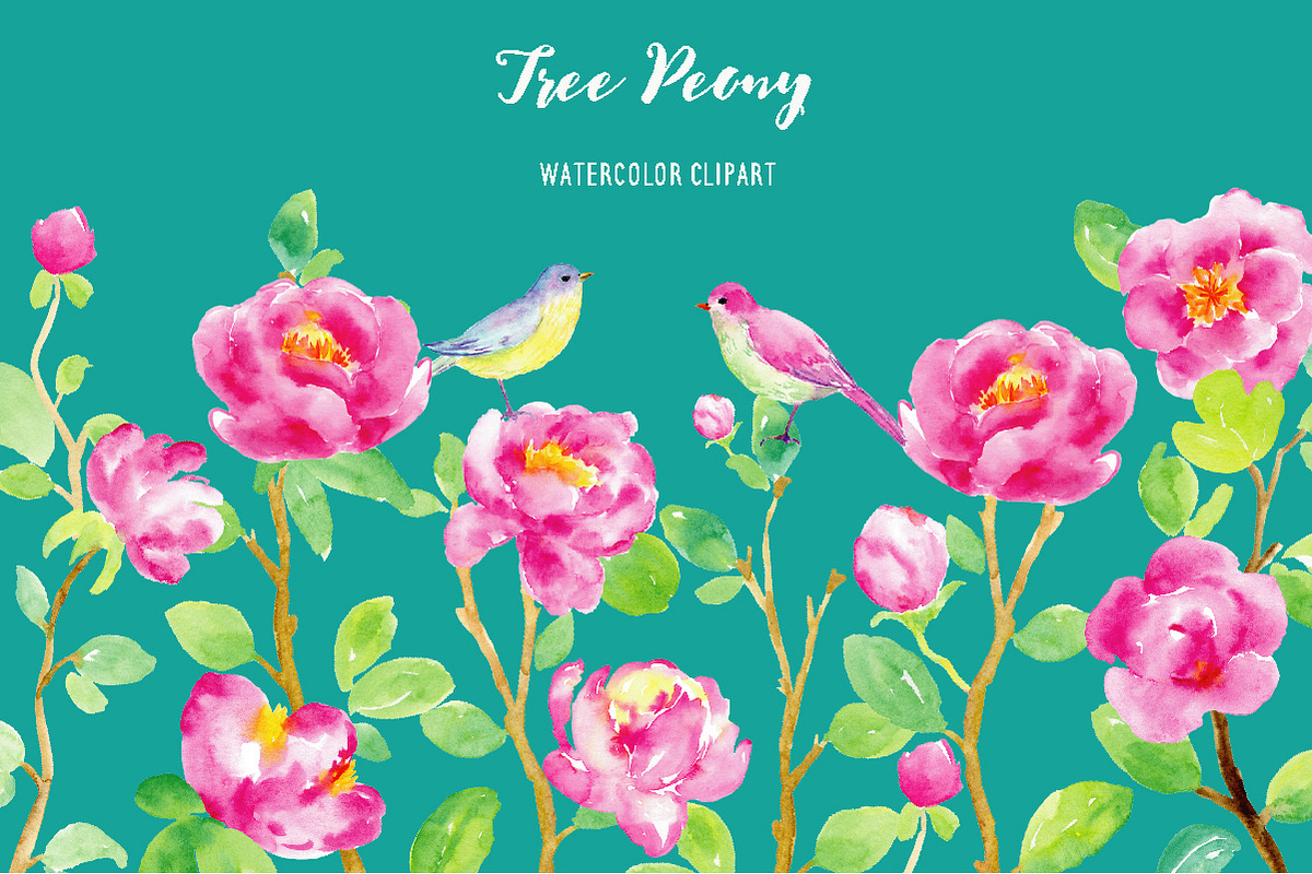 Watercolor Clipart Purple Tree Peony, an Illustration by Corner Croft (Photo 1 of 4)