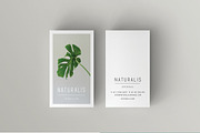 NATURALIS Business Card Template, a Business Card Template by 46&2 Collective (Thumbnail 1 of 9)