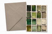 Forest Swatches, a Decorative Illustration by rileyBgraphics (Thumbnail 4 of 6)