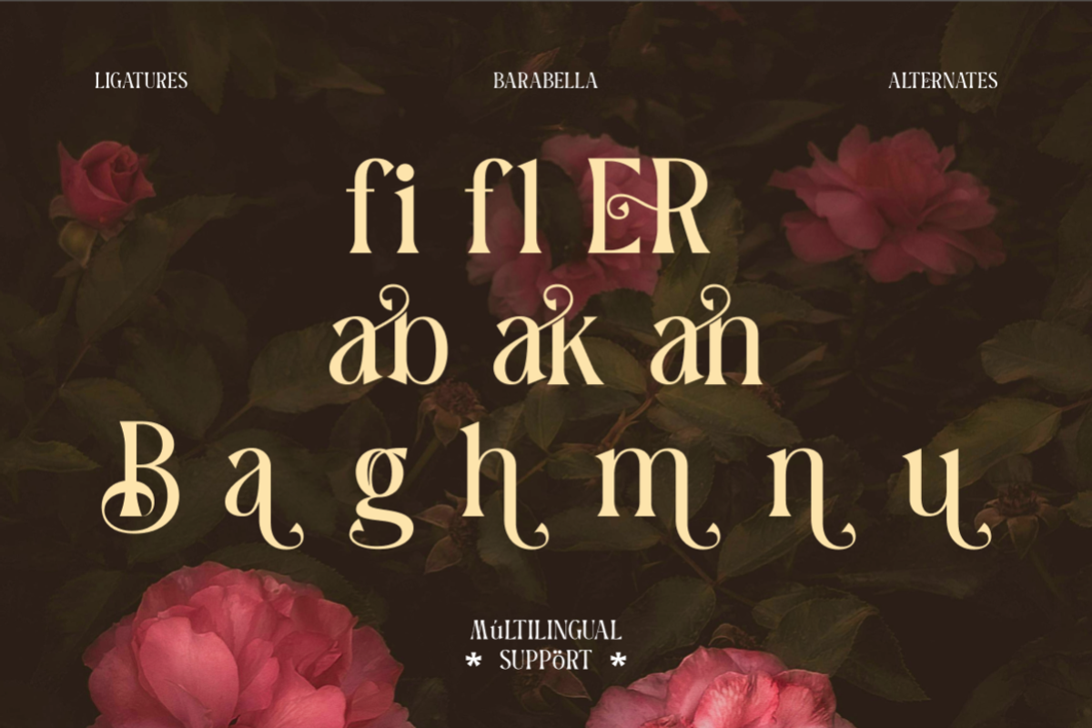 Barabella Modern Elegant Font, a Serif Font by Rasio Studio (Photo 4 of 7)