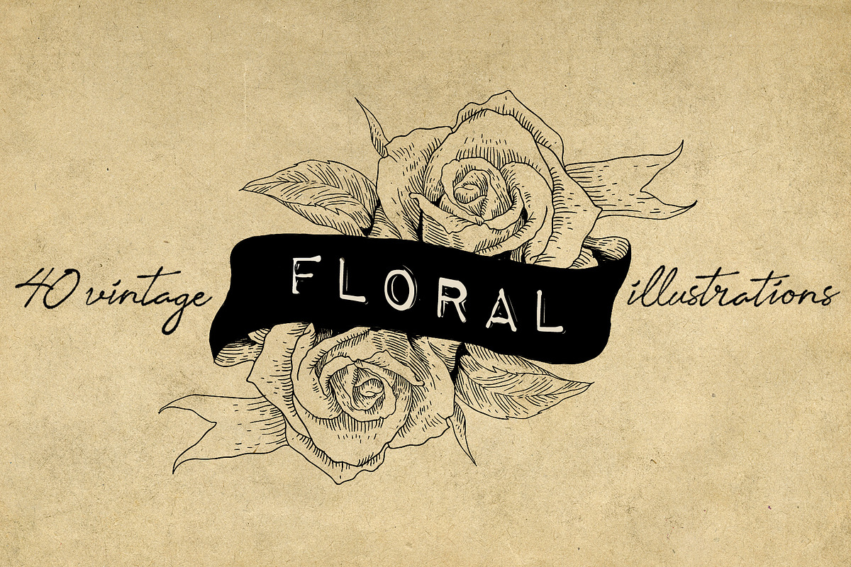 40 Vintage Floral Illustrations, an Illustration by Hatch Design Workshop (Photo 15 of 15)
