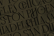 Frosty Garden - Elegant Retro Serif, a Serif Font by SilverStag Type Foundry (Thumbnail 7 of 19)