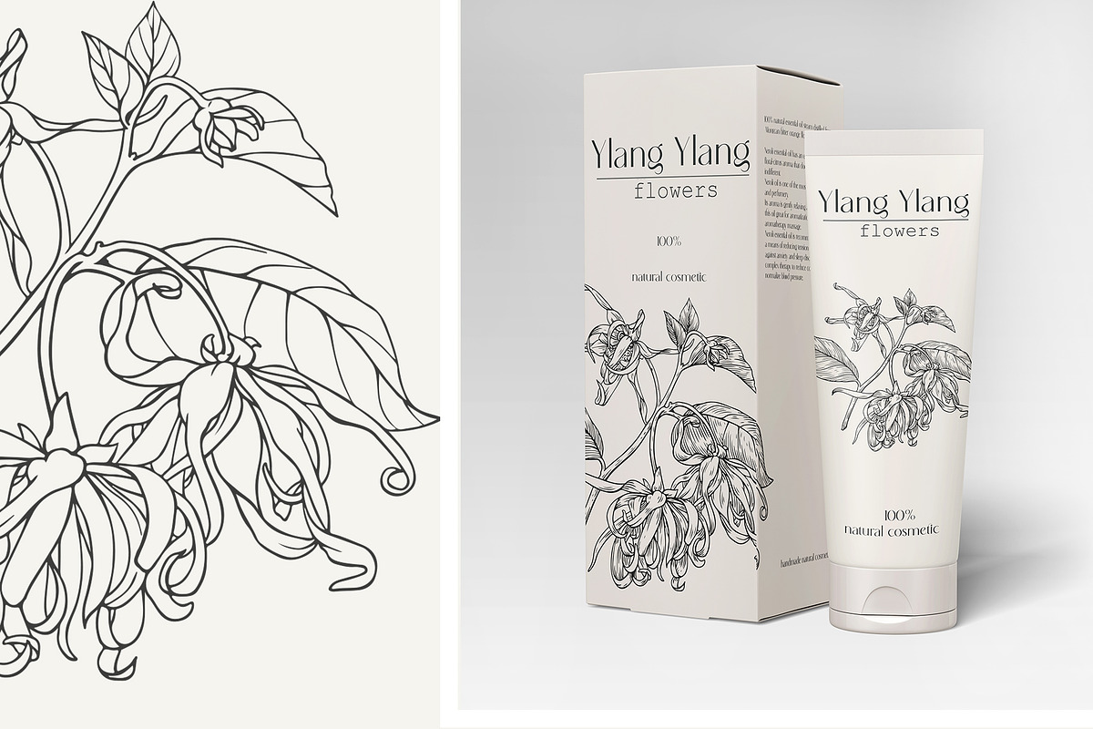 Flowers Ylang Ylang. Botanical set, an Object Graphic by ON_lineart_store (Photo 4 of 8)